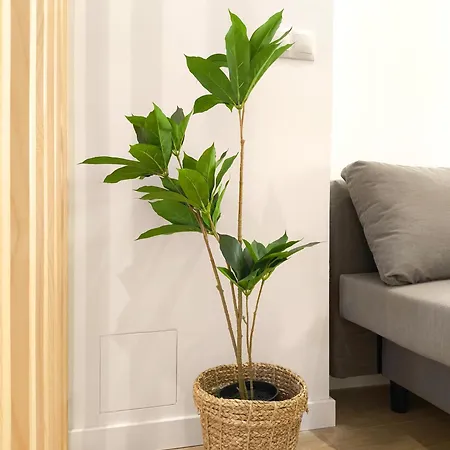 The Sunshine * Βαλένθια